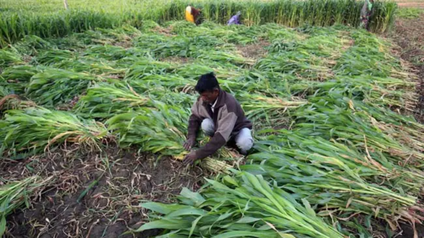 🚜 शेतकऱ्यांच्या यशोगाथा